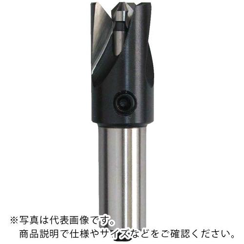 【SALE必要経費】WEBA カウンタシンク No.P19090-0 90°3枚刃 HSS 煙管内面・見せ掛け専用 φ32 ( P19090-0-32.0 ) WEBA