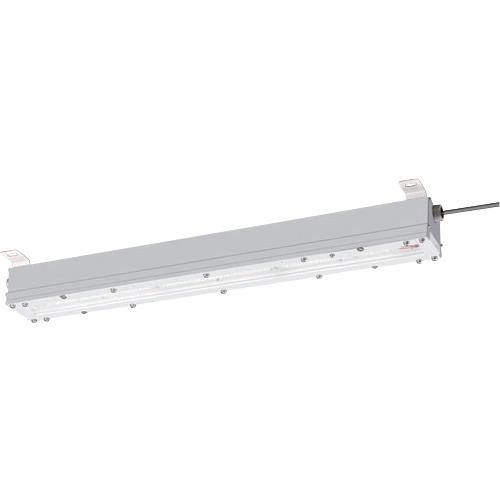 岩崎 ( 岩崎電気 ) 安全増防爆形LED照明器具1灯用特殊直付形 ( EYICL9021SA9F-16 ) 岩崎電気(株) 【メーカー取寄】