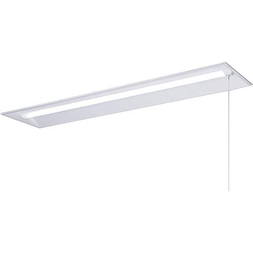 岩崎 ( 岩崎電気 ) LEDベースライト 埋込 プルスイッチ 非調光 ( ELE44003DNPPN9 ) 岩崎電気(株) 【メーカー取寄】