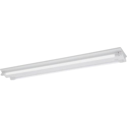 岩崎 ( 岩崎電気 ) LDL40×2灯用逆富士形 定格出力形 Lフリー ( ELV40201APFH9 ) 岩崎電気(株) 【メーカー取寄】