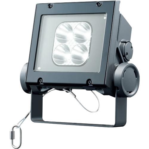 岩崎 ( 岩崎電気 ) LED投光器(20クラス、狭角タイプ、昼白色タイプ) ( ECF2040N/NSAN8/DG )