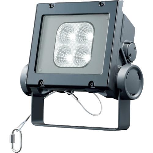 岩崎 ( 岩崎電気 ) LED投光器(40クラス、中角タイプ、昼白色タイプ) ( ECF4040M/NSAN8/DG )