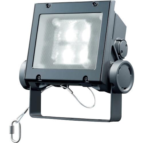 岩崎 ( 岩崎電気 ) LED投光器(20クラス、広角タイプ、昼白色タイプ) ( ECF2040W/NSAN8/DG )