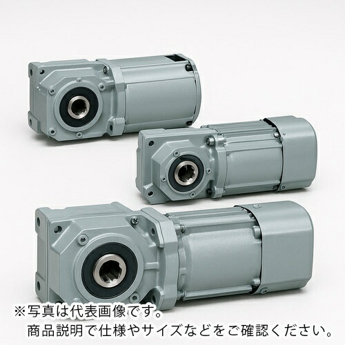 ニッセイ GTR MINI SERIESインダクションギアモータ(15W~90W) 同心中空軸 同心中実軸 F2タイプ ( F2SM-15-60-T90 )