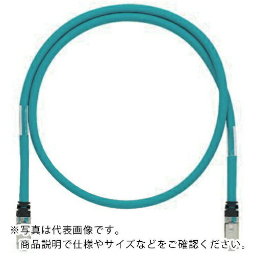 【SALE必要経費】PANDUIT ( パンドウイット ) CAT5E 高響動めき相応う製作用ローカルエリアネットワーク有線テレビ 緑青 0.3m ( ISTPHCH0.3MTL ) 【10本仕掛ける】
