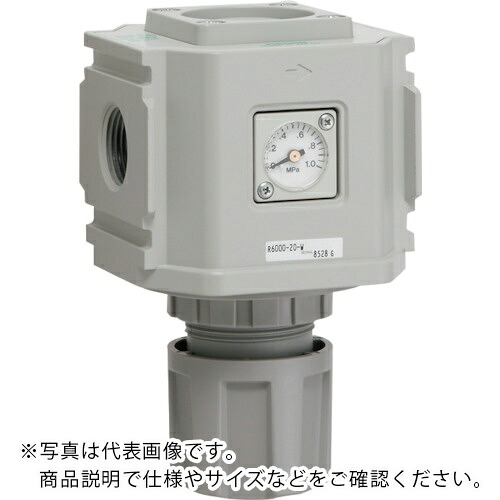 CKD レギュレータ 白色シリーズ ( R6000-25-W )