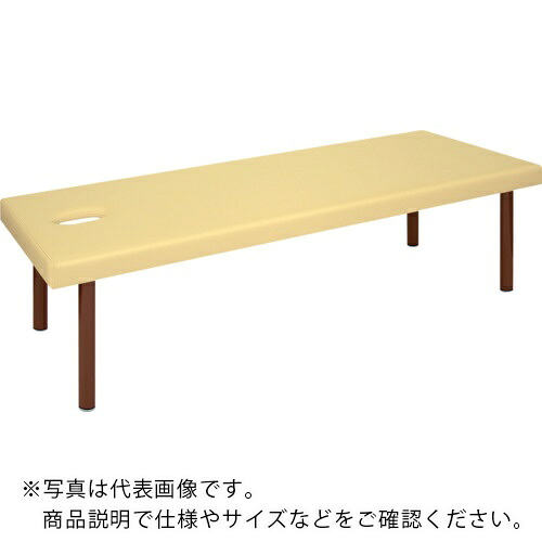 高田ベッド ( 高田ベッド製作所 ) 有孔DXボディベッド幅:65cm長さ:180cm高さ:50cm色:アイボリー ( TB-1211U-6518050-IV )