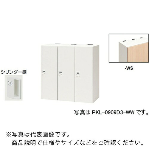 NAIKI ( ナイキ ) パーソナルロッカー ( PKL-09093-WS ) (株)ナイキ 【メーカー取寄】