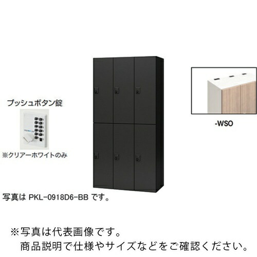 【SALE通貨価値】NAIKI ( ナイキ ) 個人的ロッカー(6人用) 衣嚢 PKL型 ラージタイプ うしろ押し名取り草錠 ( PKL-0918P6-WSO ) (株)ナイキ