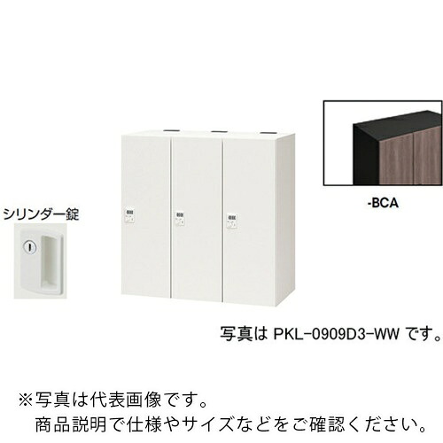 NAIKI ( ナイキ ) パーソナルロッカー ( PKL-09093-BCA ) (株)ナイキ 【メーカー取寄】