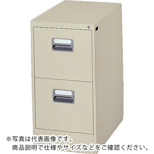 NAIKI ( ナイキ ) 収納家具 ( A4-2-LG (2ﾀﾞﾝ A4ﾌｧｲﾙ) ) 【製造業者取寄】