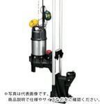 ツルミ ( 鶴見製作所 ) 樹脂製汚物用水中ハイスピンポンプ 50HZ 口径40mm 三相200V ( TOK4-40PU2.25-53 50HZ )