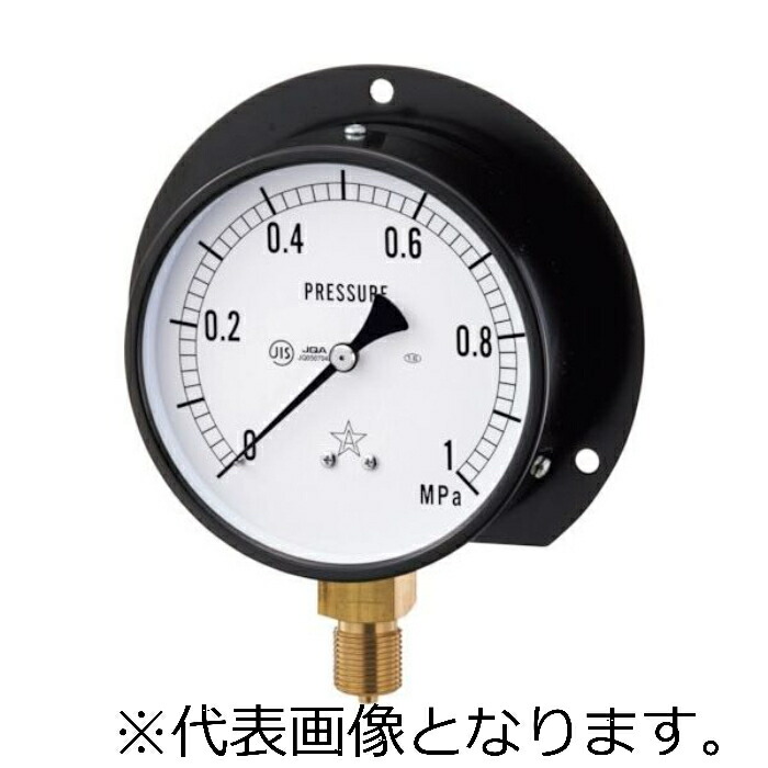 右下精器 一般圧力計 ( BS3/8-100X160MPa )