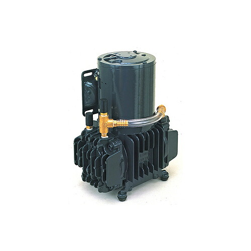 アルうしろ側 ダイアフラム型素っ気ない無意味さ揚水機 ( デジタルオーディオテープ-100S 100V )