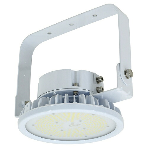 【SALE通貨価値】日動実業 併設用LED ( L70B-P-H110-50K-SAL )