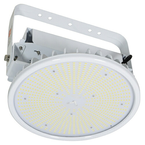 日動工業 施設用LED ( L300V2-P-HW-50K-N-SAL )