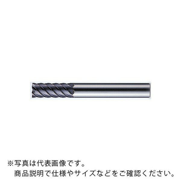 MOLDINO 世紀21(真四角) ( CEPR6070 )
