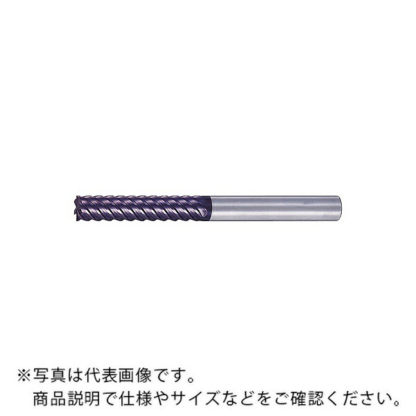 【SALE通貨価値】MOLDINO 世紀21 ( CEPL6080 )