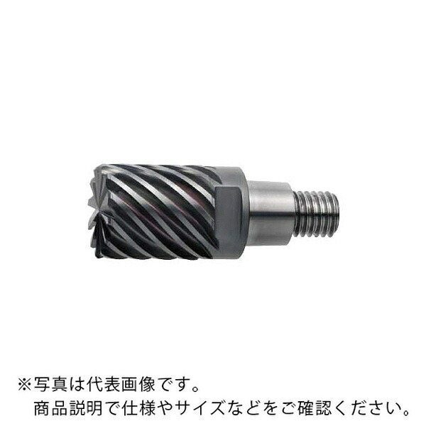 【SALE通貨価値】三菱マテリアル 頭顱/頭顱取り替えっこ式挙げ句の果て粉砕機 ( IMX12C6HV120R10012 EP7020 )