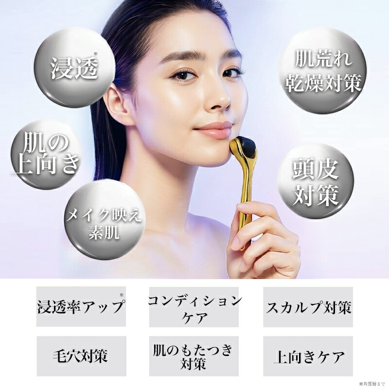 医療機器】ダーマローラー 0.5mm 【1年保証 SRT正規店】美顔ローラー