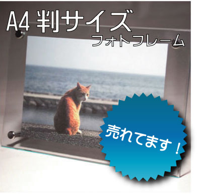 img59067428.jpg