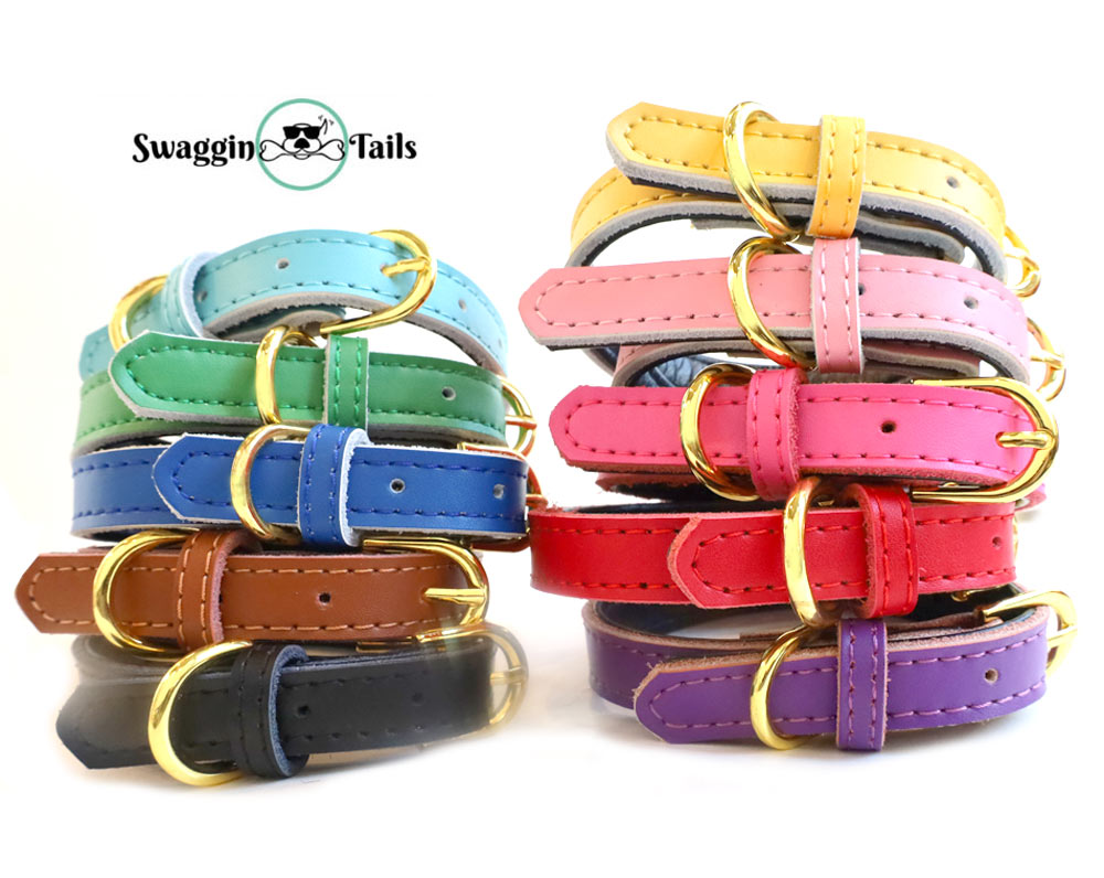 楽天市場】SWAGGINTAILS スワギンテイルズ 首輪 リード リーシュ 犬