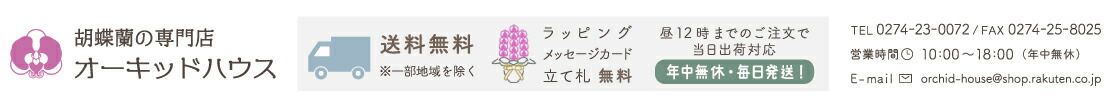 胡蝶蘭の専門店オーキッドハウス:胡蝶蘭の専門店オーキッドハウス☆高品質、新鮮な胡蝶蘭をいつでもお届け♪