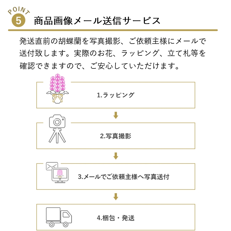 胡蝶蘭キングエクセレント3本立 開店祝い 開業祝い 開院祝い 叙勲祝い 楽屋見舞い 楽屋見舞い 竣工祝い ご就任祝い 開院祝い ご移転祝い 開店祝い 当選祝い 昇任祝い ご退職祝い あす楽