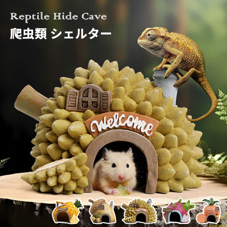 楽天市場】爬虫類 シェルター 隠し 洞窟 ハウス 水族館装飾 カメ