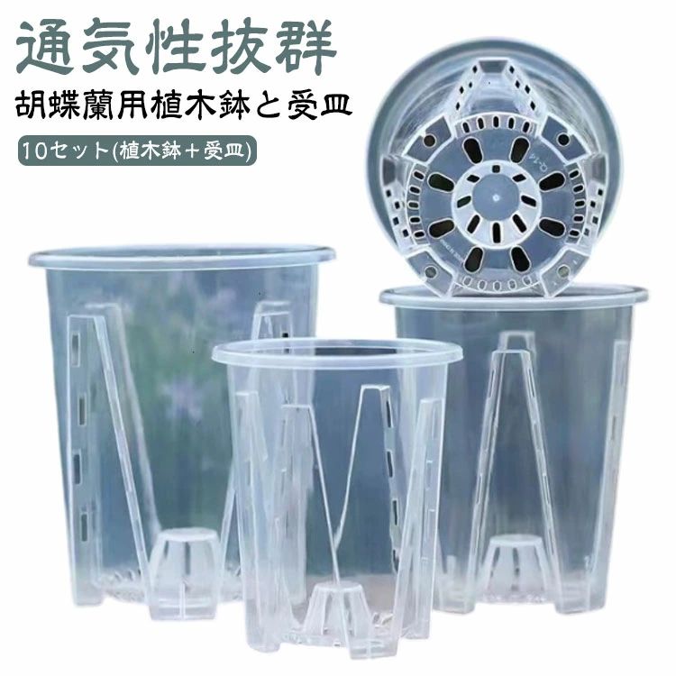 蘭鉢 71YqtDQOA2L._AC_UF894,