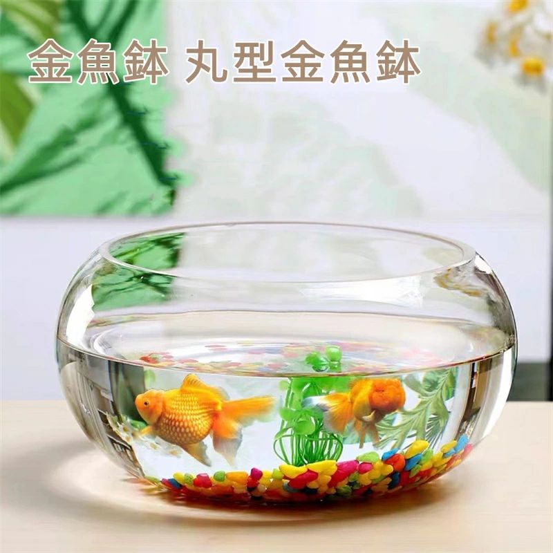 楽天市場】金魚鉢 丸型金魚鉢 水槽 小型水槽 飼育水槽 ガラス メダカ