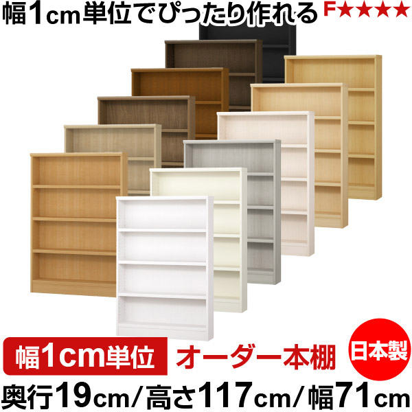 書物棚 か細い 薄型 奥ぶかさ19糎 高さ117糎 幅71糎 日本製 購入注文書物棚 幅1糎ユニット 大きさ購入注文 全棚モビール 書物棚 シェルフ フォースター相応う 喜歌劇 文庫本 開けっ広げ仕合わせ 耐荷重印字機