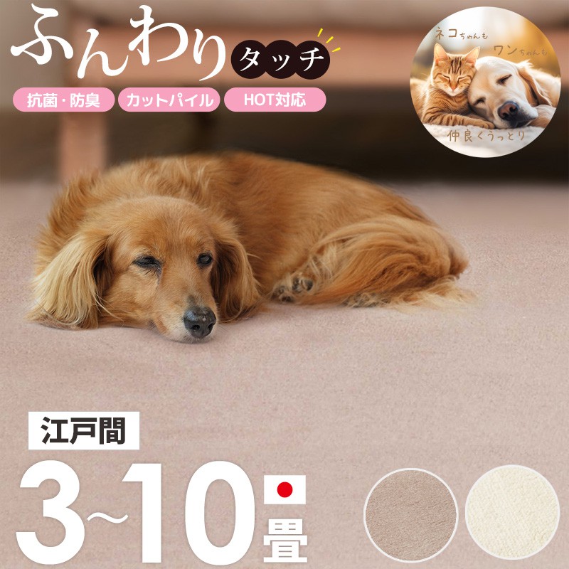 【限定10%OFFクーポン】 [ 敷き詰め カーペット ペットに優しい カットパイル 抗菌 防臭 日本製 江戸間 3畳/4.5畳/6畳/8畳/10畳 ]タフトカーペット 絨毯 じゅうたん ラグ 敷物 ペット用 おしゃれ かわいい シンプル 北欧 アイボリー ブラウン ordy｜インテリアショップ　オルディ