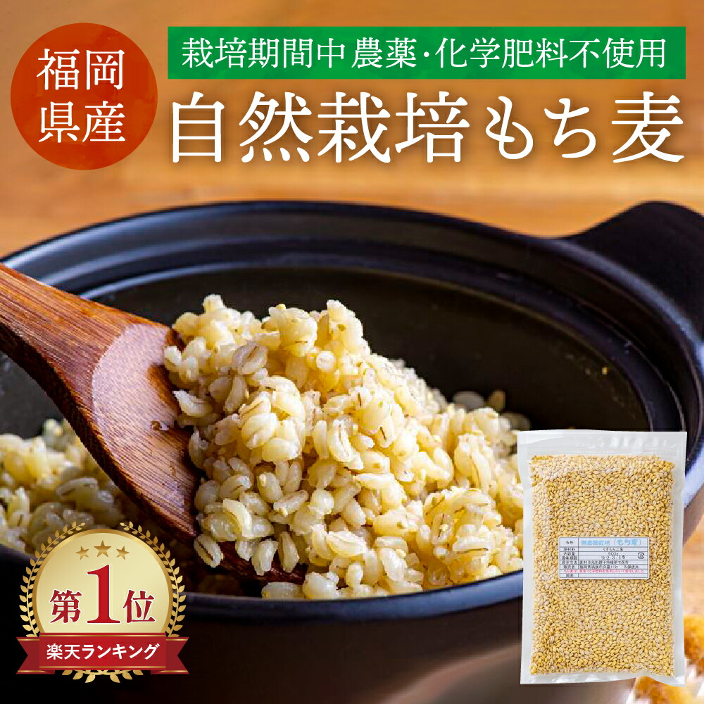 無農薬栽培 もち麦 久保農園 福岡県産 九州産 国産 もち麦 もち麦ごはん 無農薬 農薬不使用 国内産 ナチュラル 自然食 食物繊維 ダイエット 500g 2kg 5kg 10kg 業務用 大容量｜コダワリノワ。