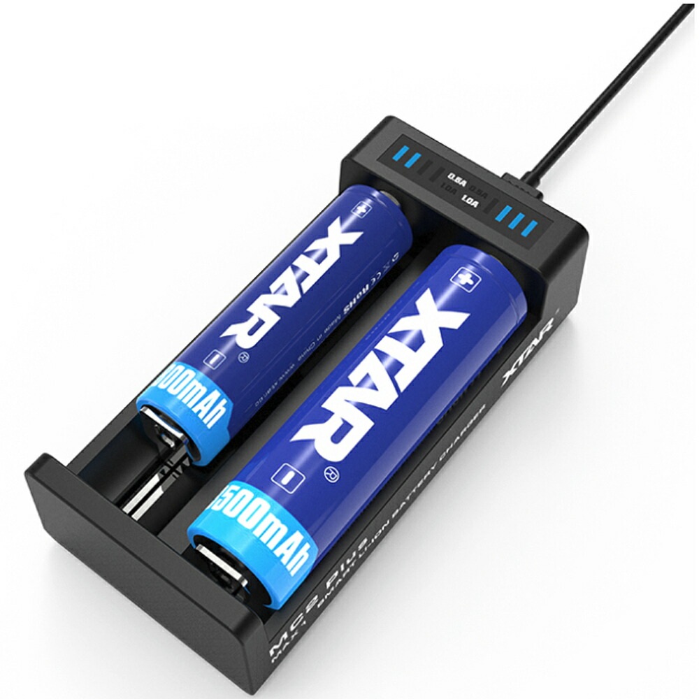 一般的に 説明する 幸福 ニッケル 水素 電池 リチウム イオン 電池 充電 器 Apab Jp