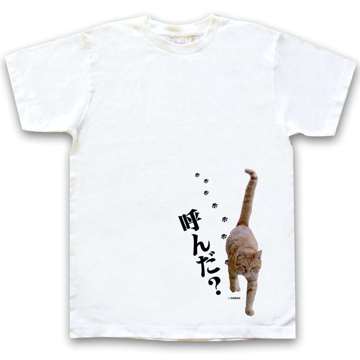 【楽天市場】おもしろTシャツ 半袖Tシャツ ホワイト 猫大好き 実写猫柄「呼んだ?」ネコ ねこ ぬこ キャット 茶トラ 飲み会 注目 面白い