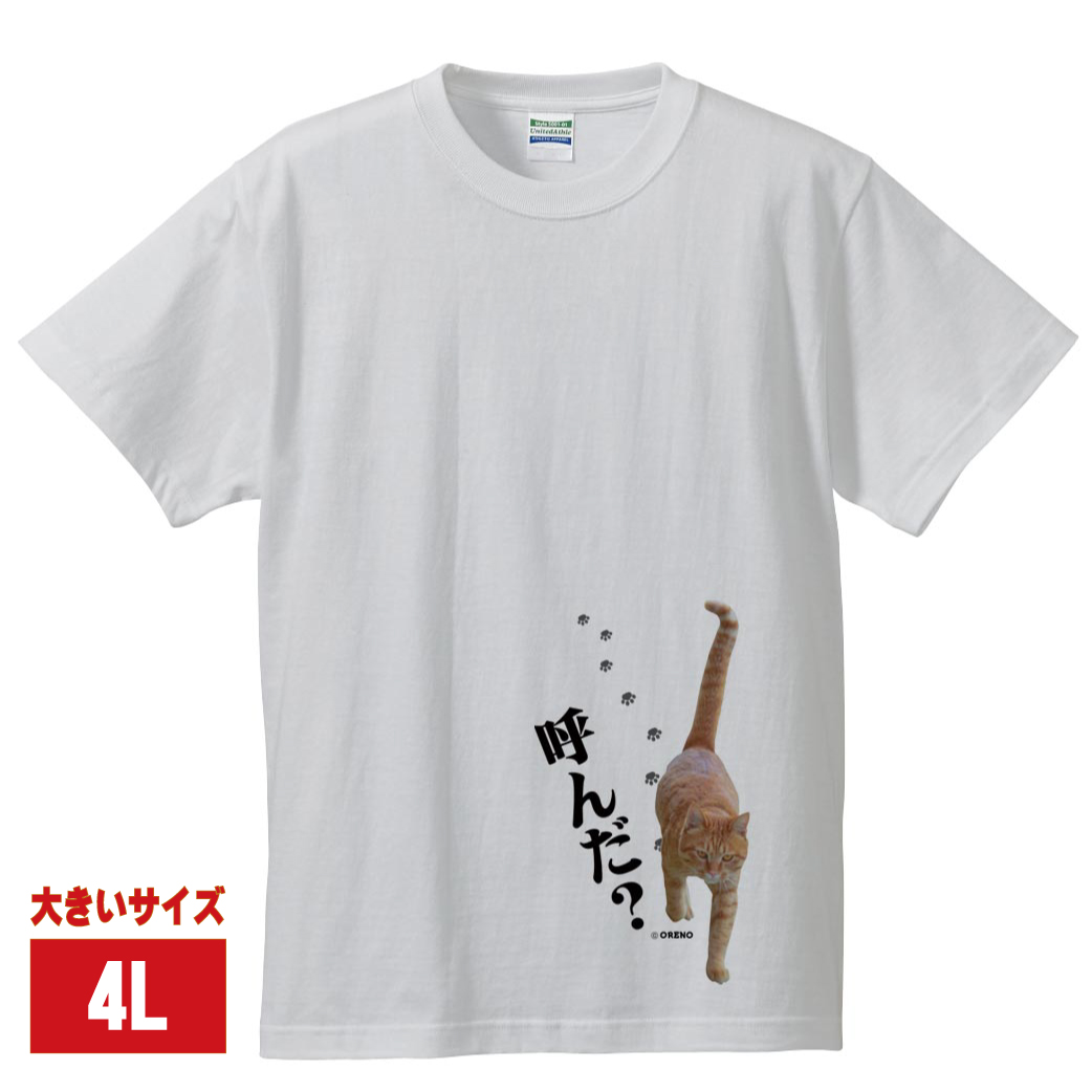 楽天市場 おもしろtシャツxxxl 4l ホワイト 猫大好き 実写猫柄 呼んだ ネコ ねこ ぬこ キャット 茶トラ 飲み会 大きいサイズ 注目 面白い メンズ レディース かわいい オリジナルグッズ Oreno