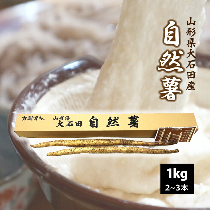 自然薯（やまのいも） 山形県 大石田産 1ｋｇ