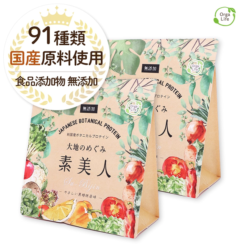 【定期購入】ソイプロテイン 黒糖抹茶味 大地のめぐみ素美人 500g 国産 プロテイン 完全食 人口甘味料不使用 無添加 一日一回 オーガニック 女性 スーパーフード タンパク質 たんぱく質 低糖質 おからパウダー 大豆 抹茶 食物繊維 オリゴ糖 ミネラル カルシウム 送料無料