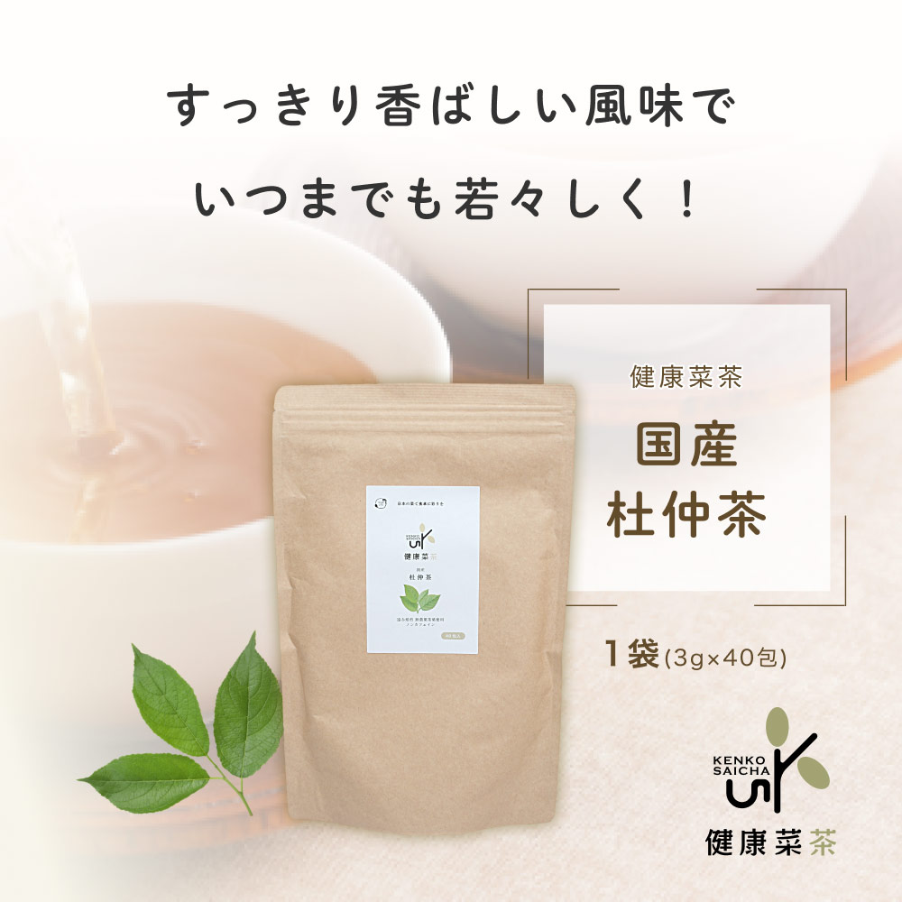 杜仲茶 健康菜茶 国産 ティーバッグ 3g×40包 遠赤焙煎 無添加 無農薬