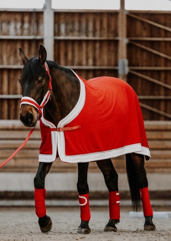 クリスマス 馬のコスプレ厚地の外套・馬着 -Xmas