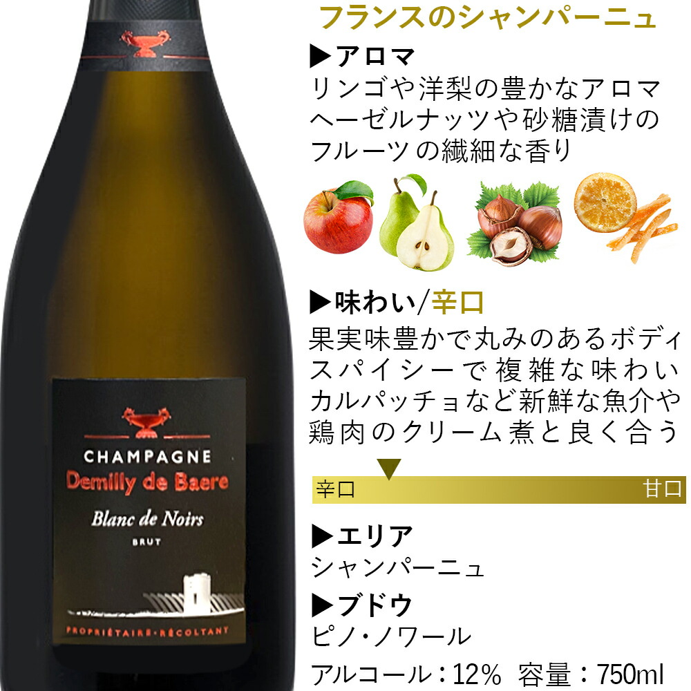 日本製 シャンパン ギフト 2本 フランス デミリー ド ベール ブラン ノワール ロゼ ブリュット 白 泡 辛口 750ml ピノ シャルドネ  贈りもの 紅白ワイン ワインギフト ワインセット 誕生日 結婚祝い 結婚記念日 残暑見舞い お祝い あす楽 送料無料 fucoa.cl