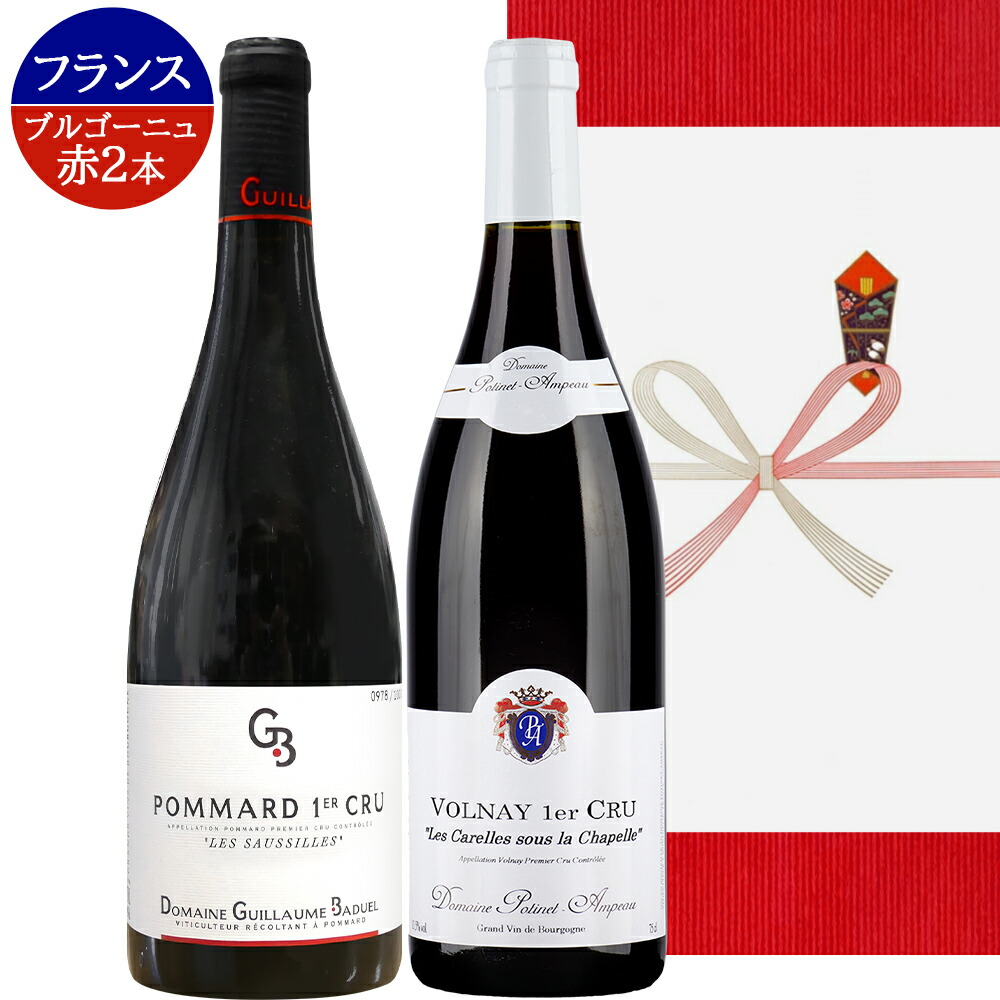 翌日配送 赤ワイン 2本 ギフト フランス ブルゴーニュ 「ポマール」 「ヴォルネイ」 一級畑 辛口 赤 750ml ピノ・ノワール 飲み比べ 贈答 プレゼント ワインセット 誕生日 内祝 就任祝い 送料無料