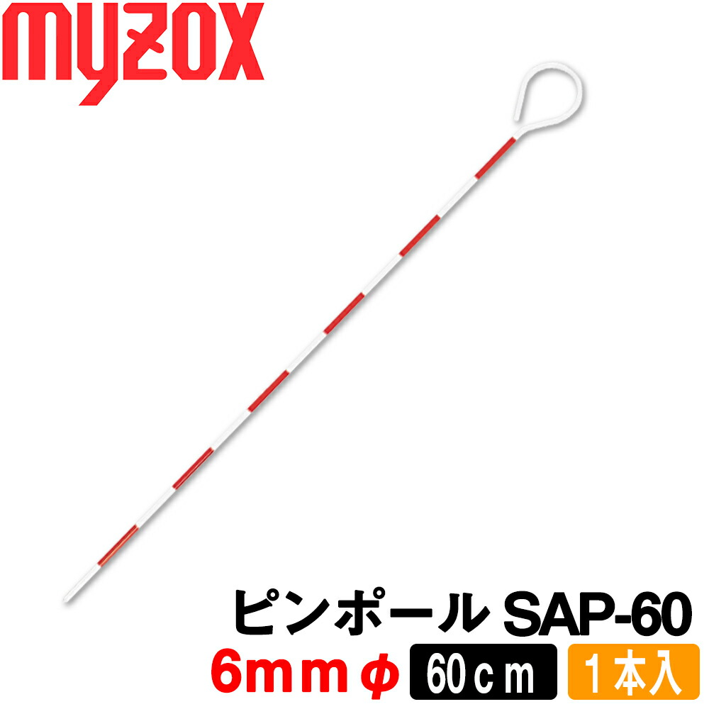 ピンポール　1mサイズ　10本セット ピンポール 1mサイズ 10本セット 楽天市場】ピンポール 1mの通販