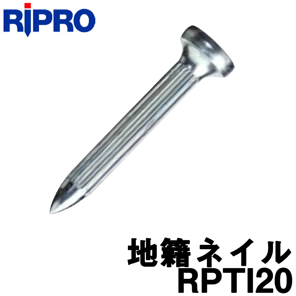 リプロ 地籍ネイル [RPTI20] (100本入) [NO.2 真っただ中穴印字機] 【地籍問い合わせ】【位置づける 土木 組み立てる】【位置づける設備】【位置づける設備】【私有地住みか問い合わせ士】[測距 測角][位置づける 銀鏡]
