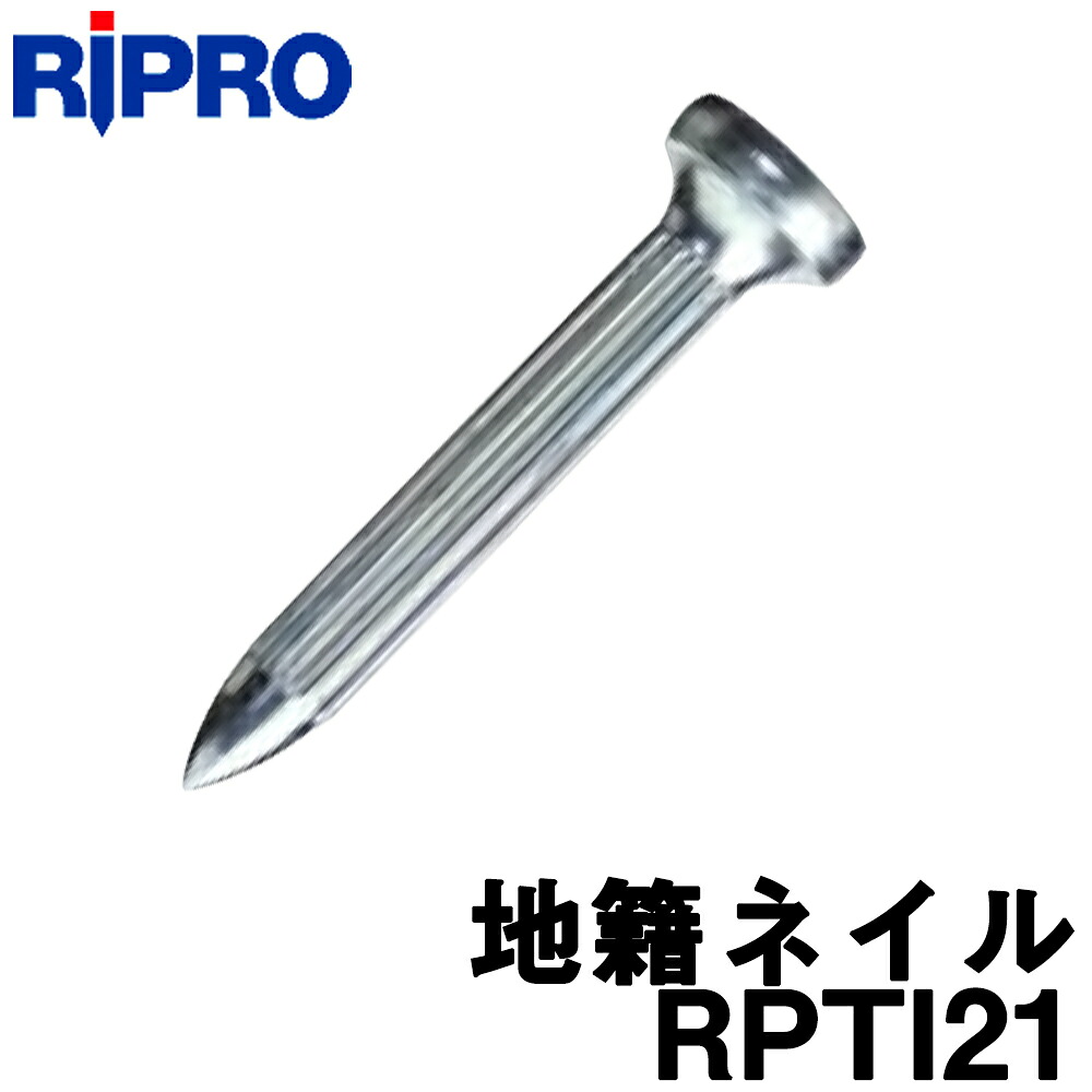 リプロ 地籍ネイル [RPTI21] (100本入) [No.2 矢印印字機] 【地籍問い合わせ】【位置づける 土木 組み立てる】【位置づける設備】【位置づける設備】【私有地住みか問い合わせ士設備】[測距 測角][位置づける 銀鏡]