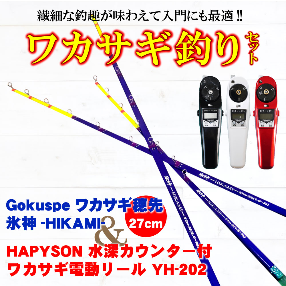 楽天市場】【ふるさと納税】わかさぎ釣り桐電動リールセット