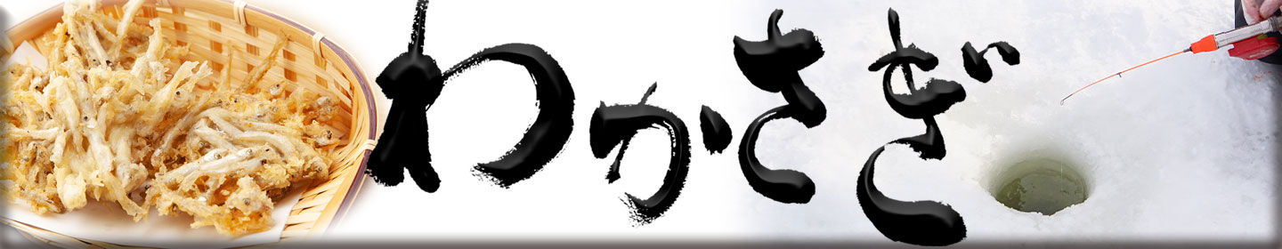 楽天市場】エクセル BB-921 ワカサギテント オレンジ 約180×180×205(H