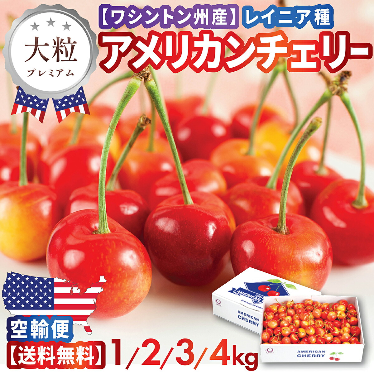 【早割 予約】大粒アメリカンチェリー ワシントン州産レイニアチェリー 上品な甘さ&ジューシー 1kg・2kg・3kg・4kg 最高級・ 厳選 ギフト・贈答用に最適 夏季限定 厳選直輸入 お中元・プレゼント 新鮮 レーニア 空輸便 送料無料 サクランボ American Cherry 車厘子 櫻桃
