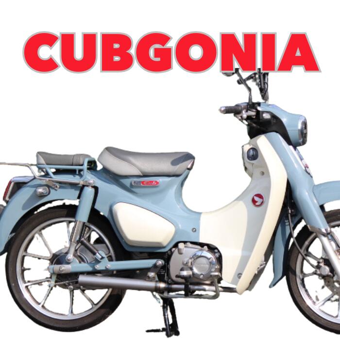 NEW ホンダ スーパーカブ C125用マフラー CUBGONIA クリア 50φ かぶごんシリーズ 進化系マフラー シークレットスピード製 made in Japan　かぶごにあ